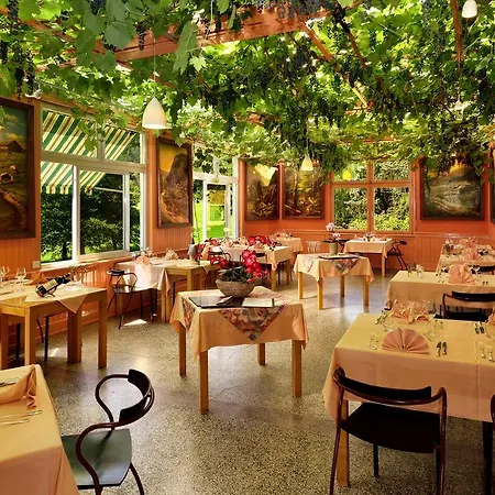 Logis Des Vosges Hotel Sewen