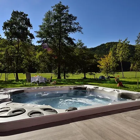 Logis Des Vosges Hotell Sewen