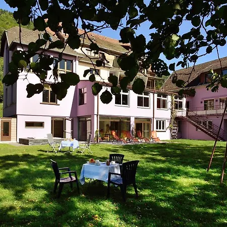 Logis Des Vosges Hotel