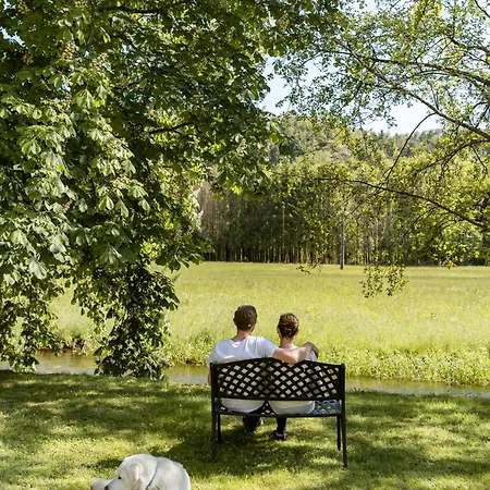Logis Des Vosges Hotell Sewen