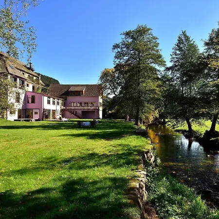Logis Des Vosges Hotel