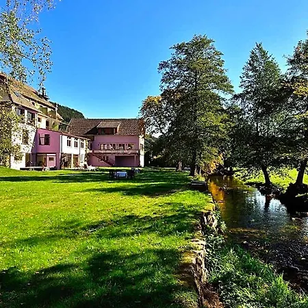 Logis Des Vosges 3* Sewen
