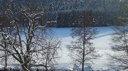 Logis Des Vosges