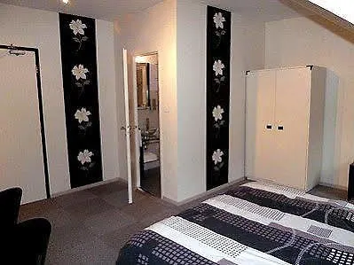 Logis Des Vosges 3* Sewen
