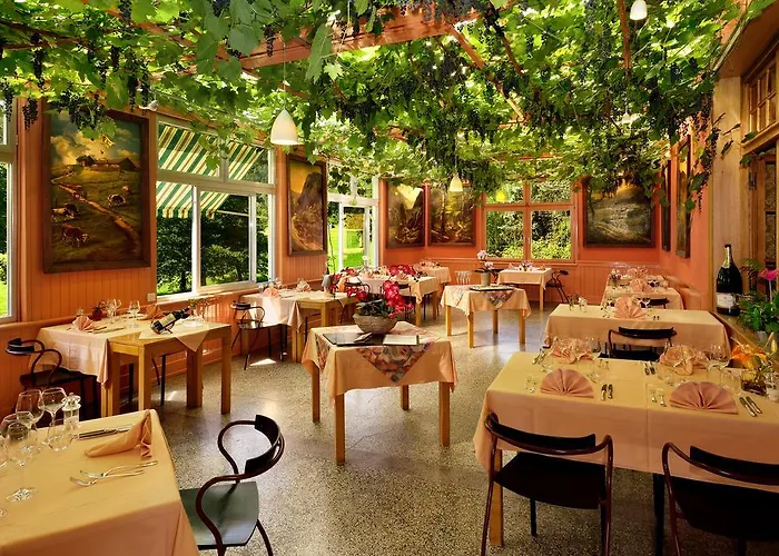 Logis Des Vosges Hotel Sewen